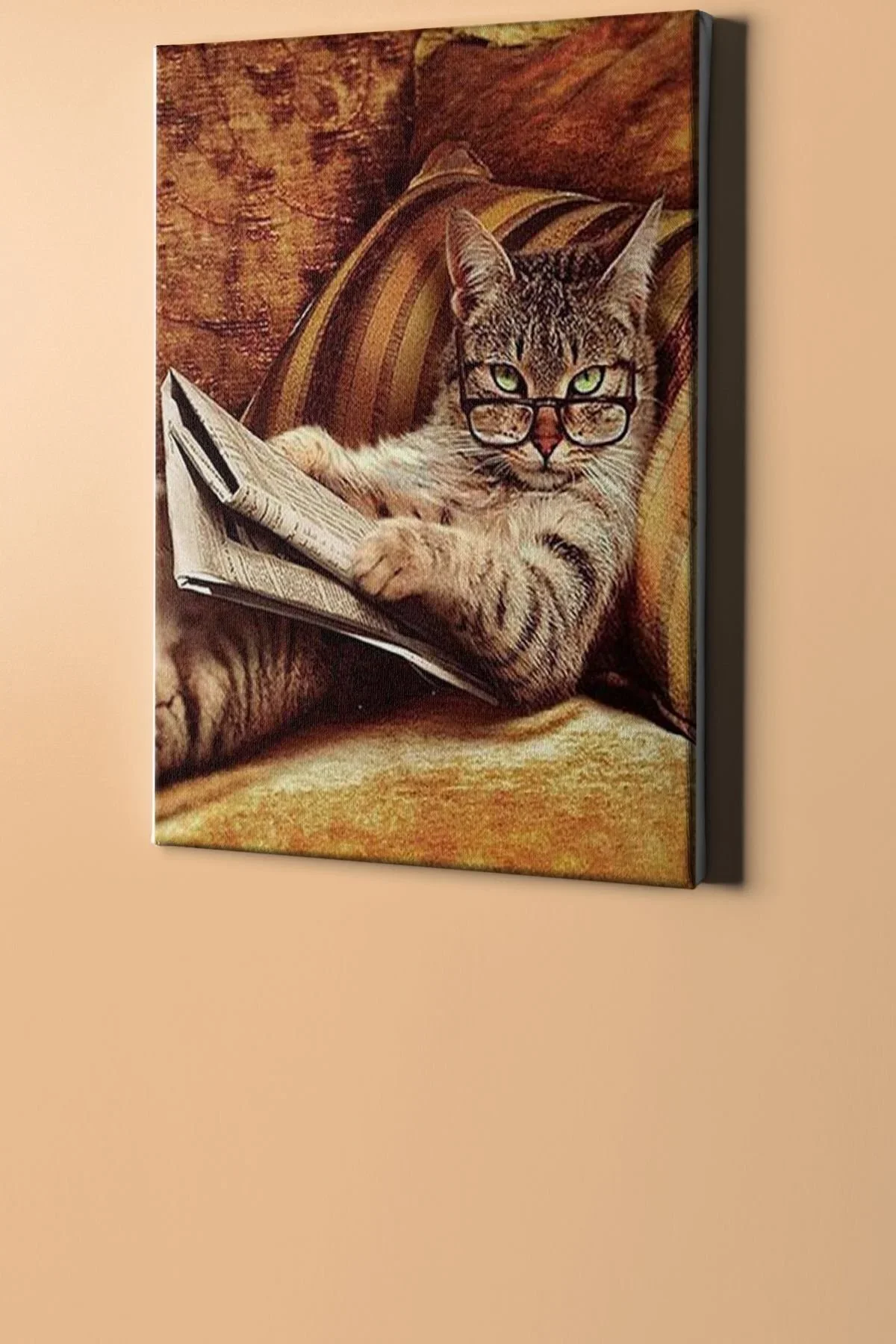 Sayılarla Boyama Seti Kasnaklı Entel Kedi