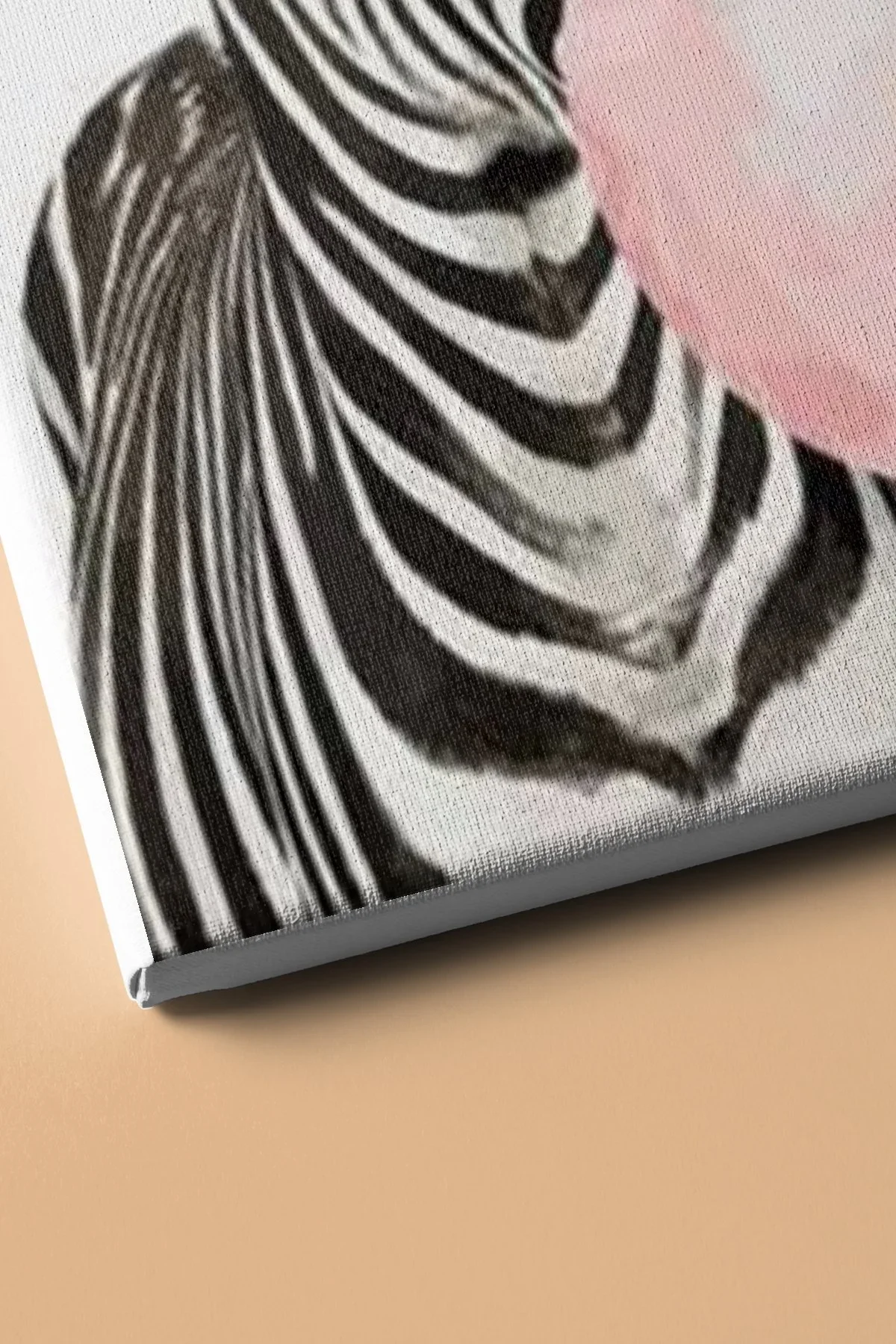 Sayılarla Boyama Seti Kasnaklı Sakız Düşkünü Zebra