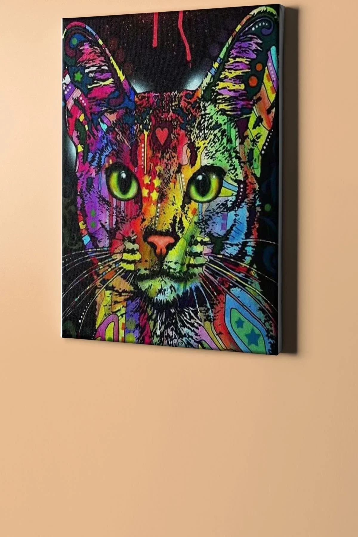 Sayılarla Boyama Seti Kasnaklı Semfonik Kedi