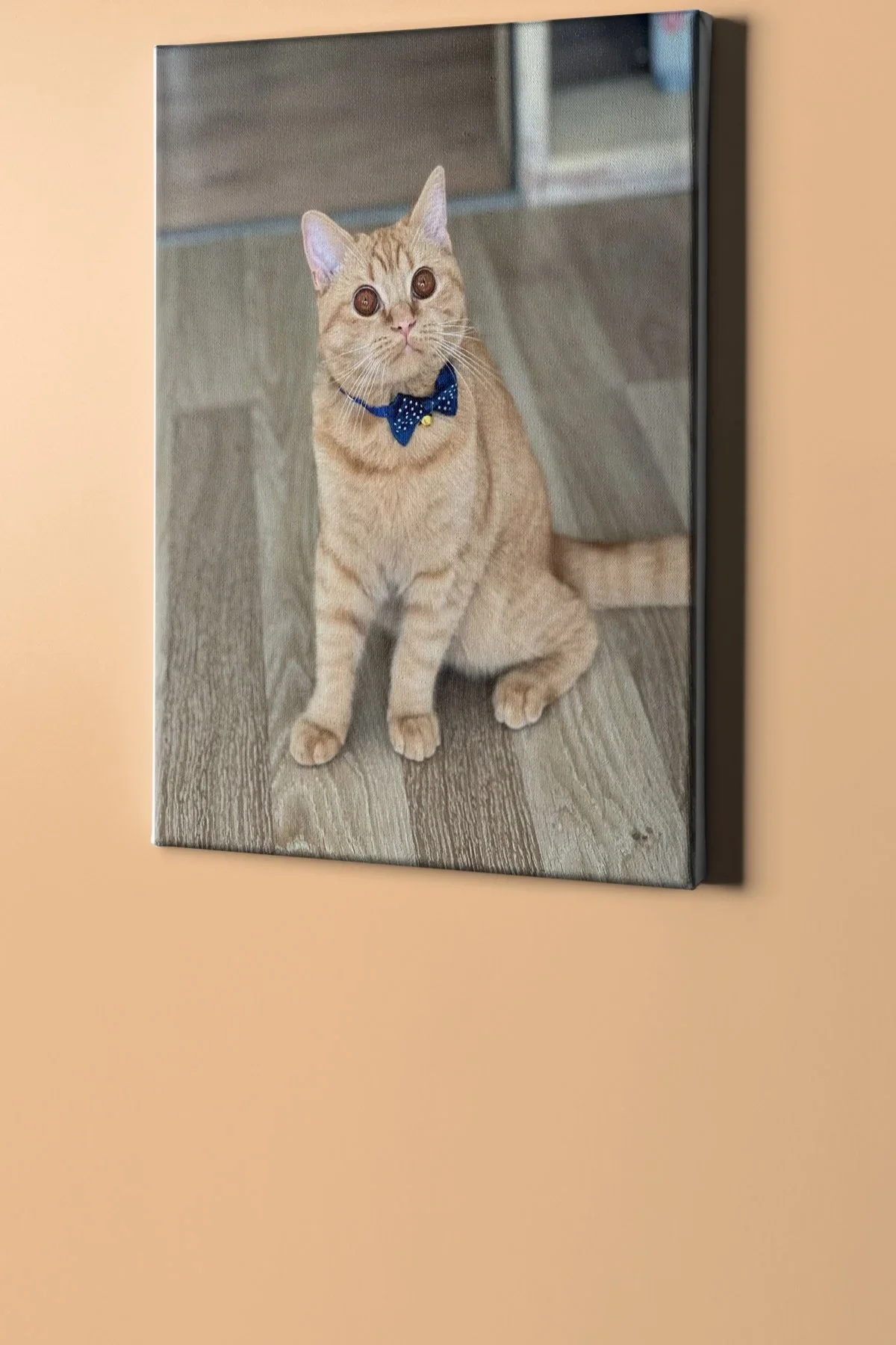 Sayılarla Boyama Seti Çerçeveli Kasnaklı Süslü Kedi
