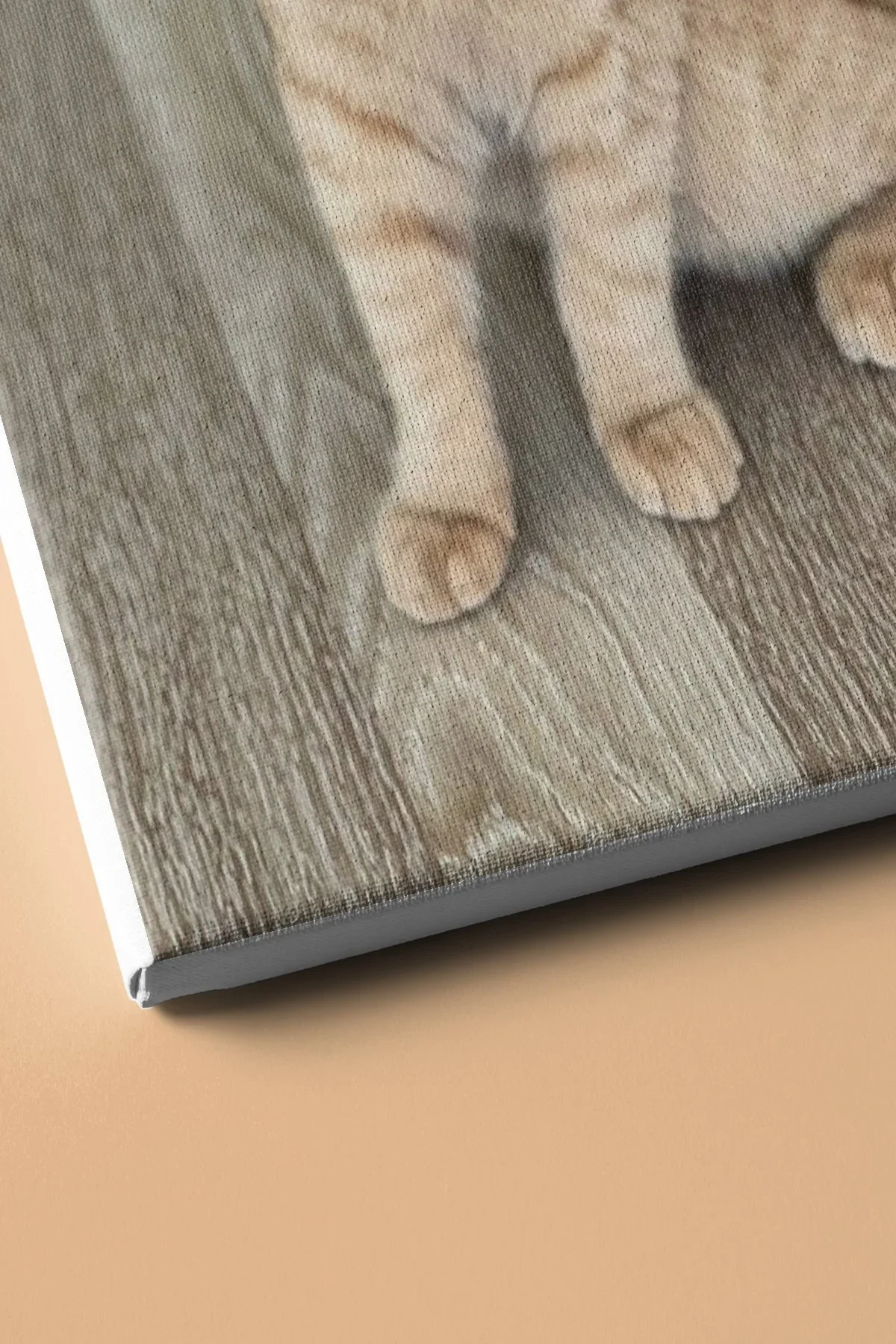 Sayılarla Boyama Seti Çerçeveli Kasnaklı Süslü Kedi