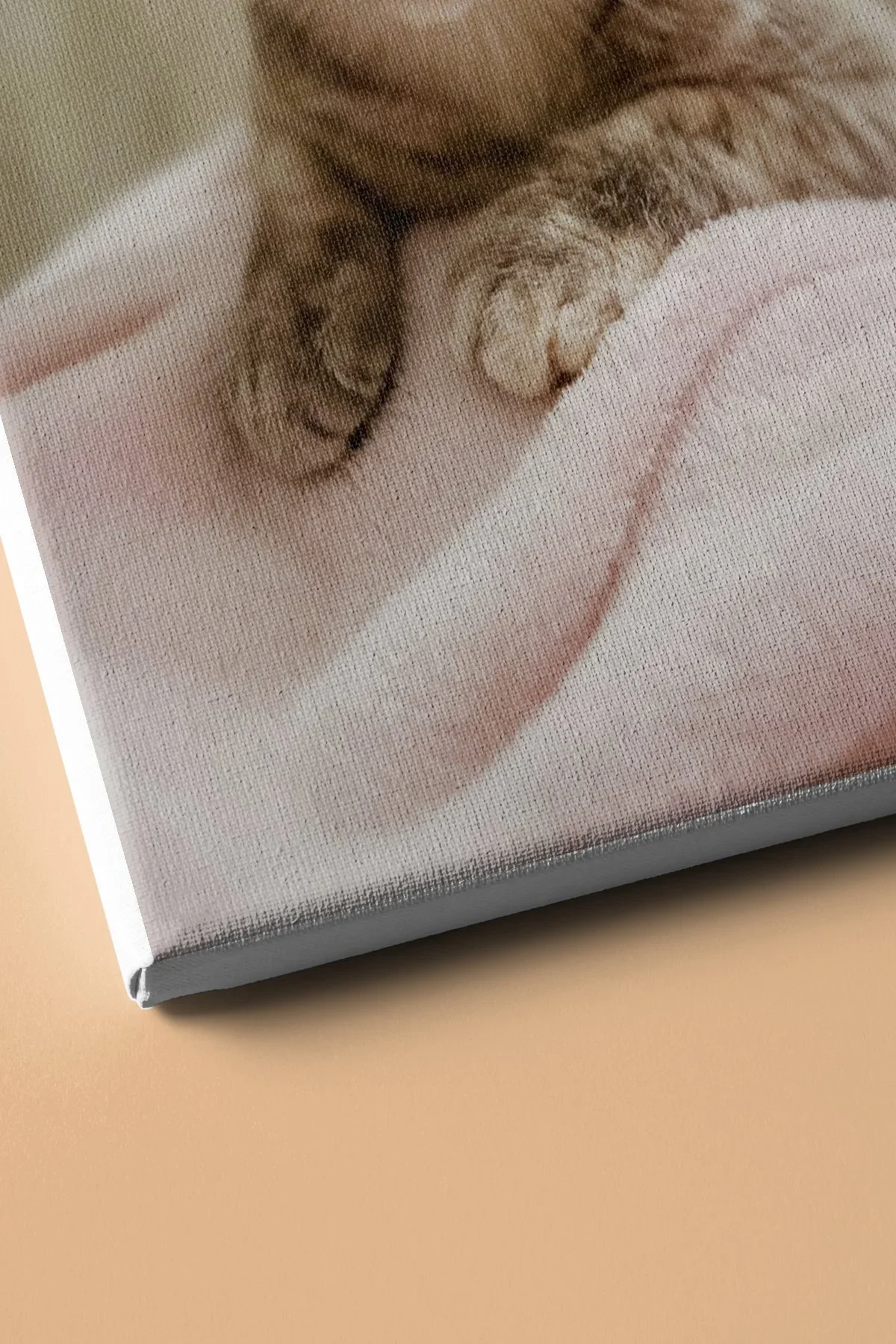 Sayılarla Boyama Seti Kasnaklı Minik Kedi 1