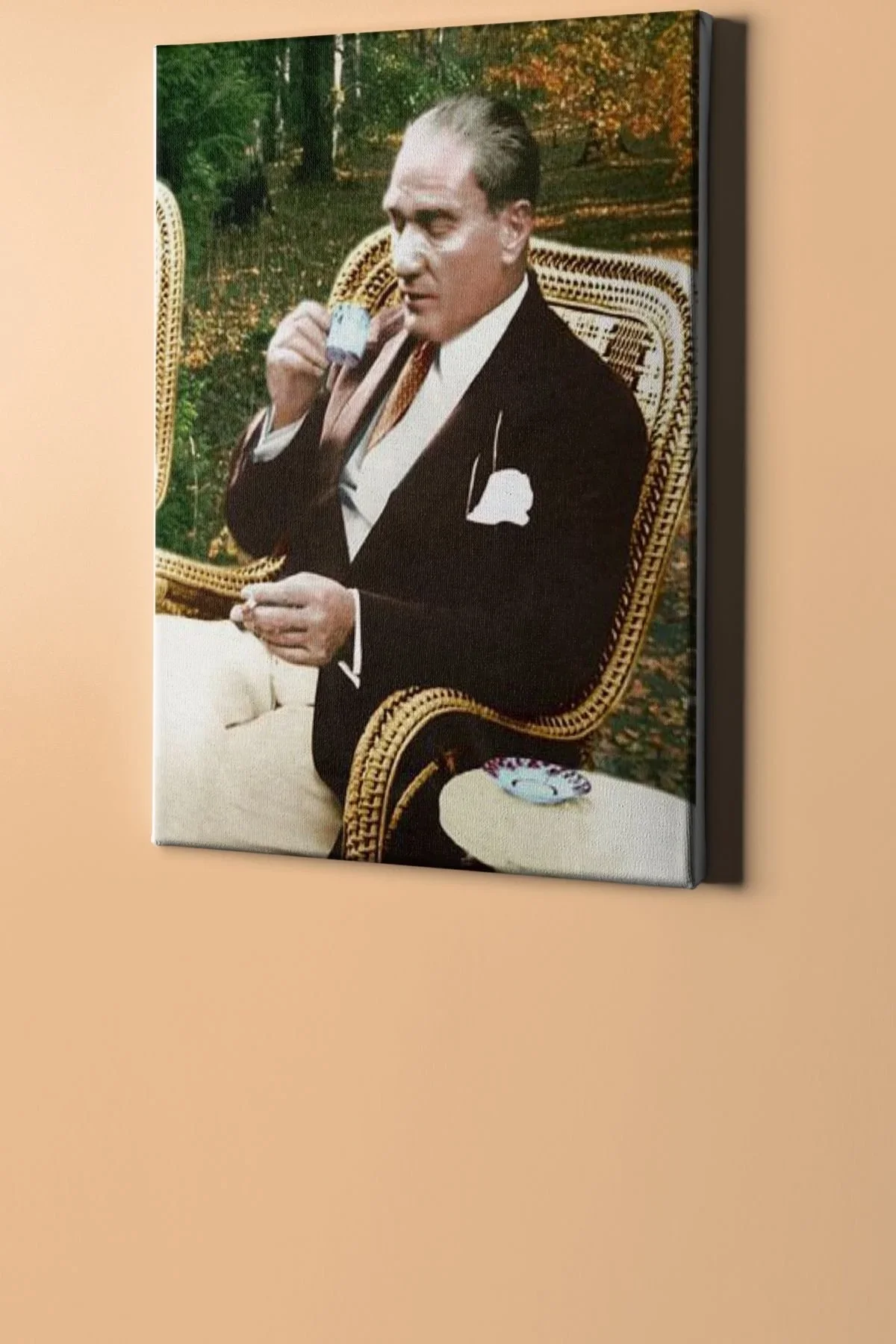 Sayılarla Boyama Seti Kasnaklı Atatürk Yurt Gezisi