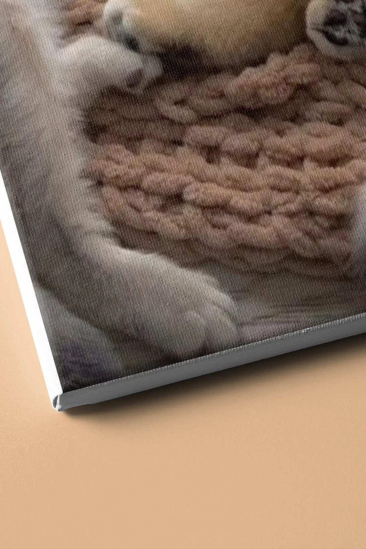 Sayılarla Boyama Seti Kasnaklı Iki Yavru Kedi