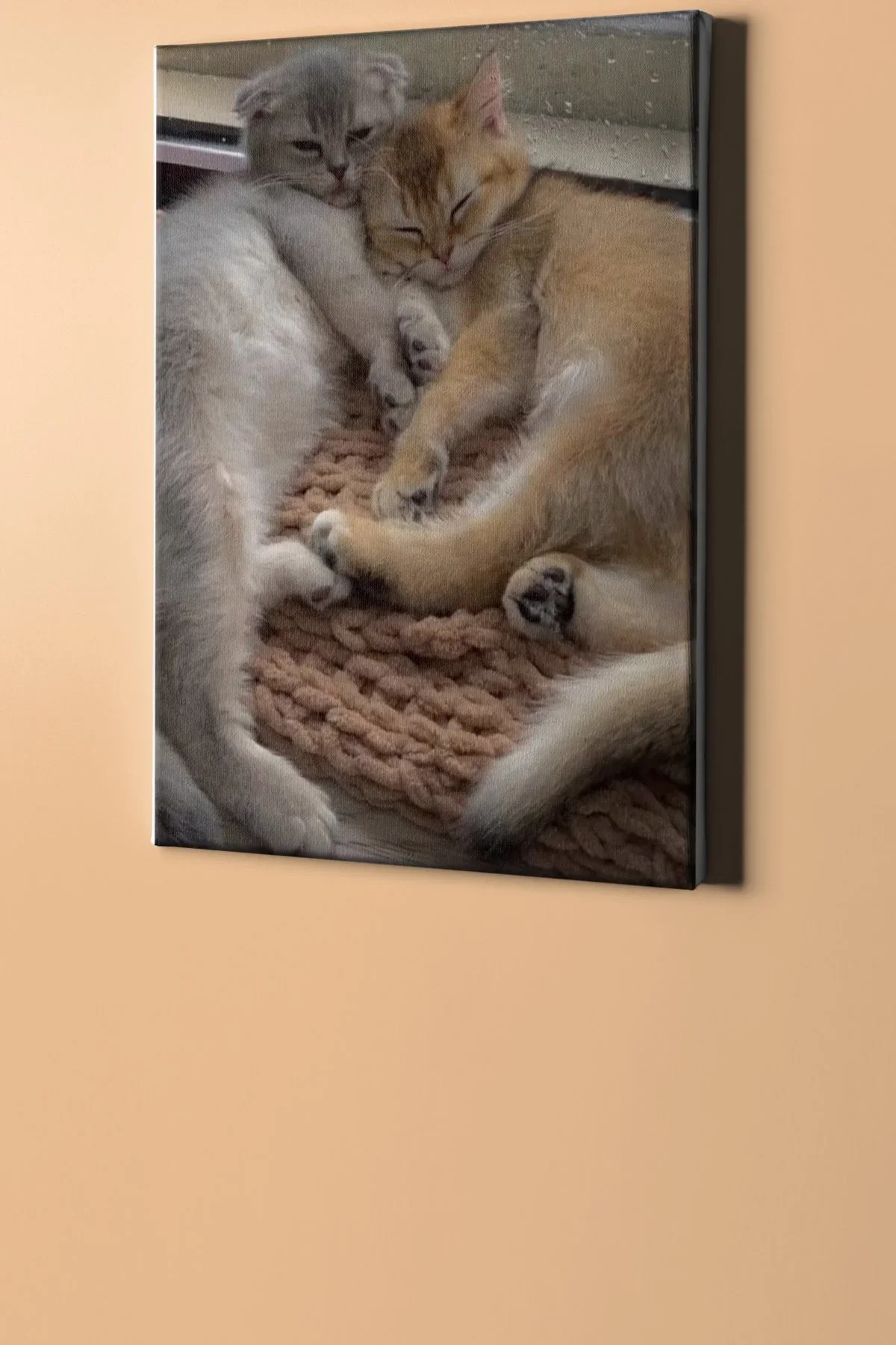 Sayılarla Boyama Seti Kasnaklı Iki Yavru Kedi