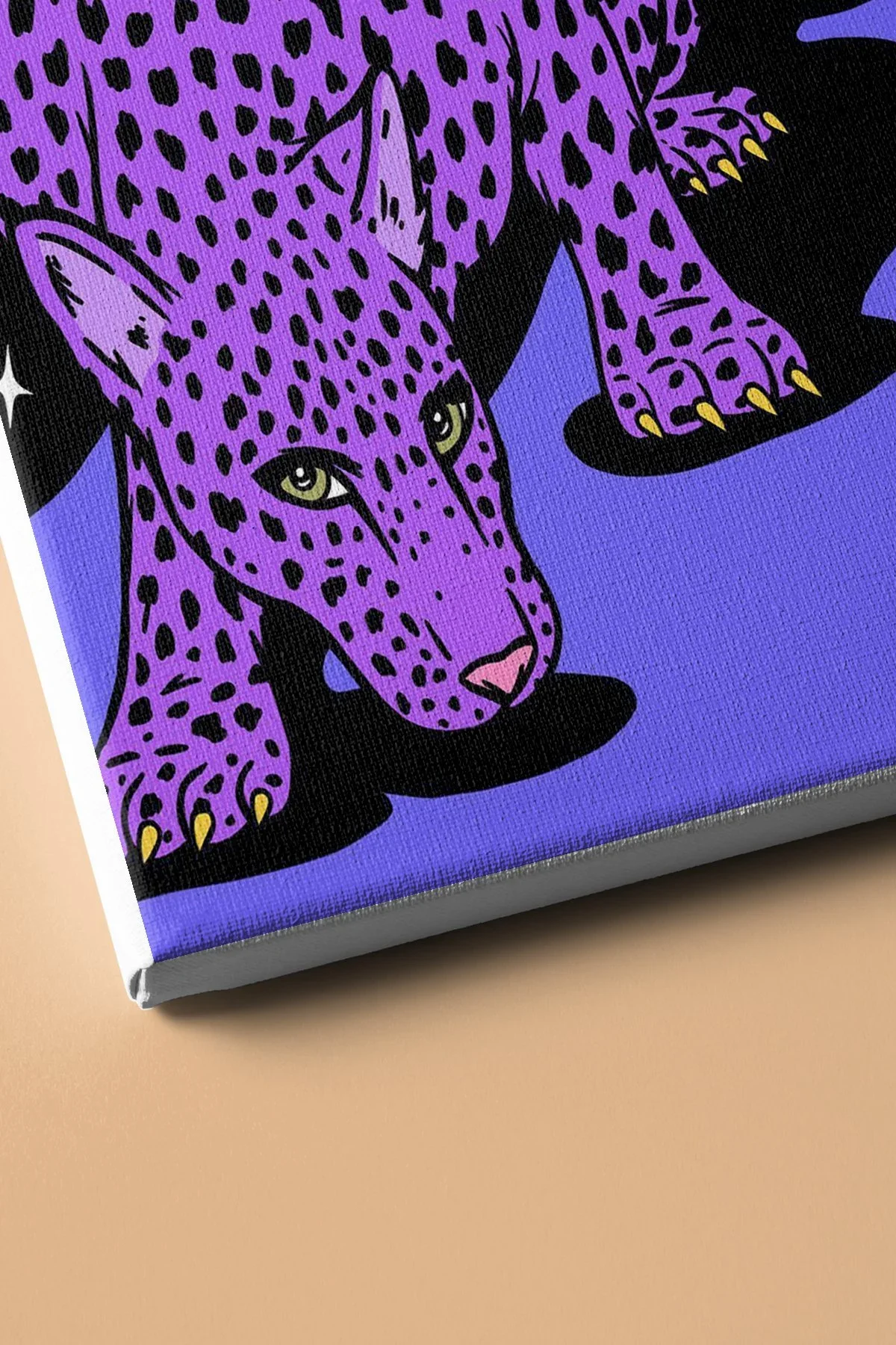 Sayılarla Boyama Seti Kasnaklı Leoparın Uzay Yolculuğu