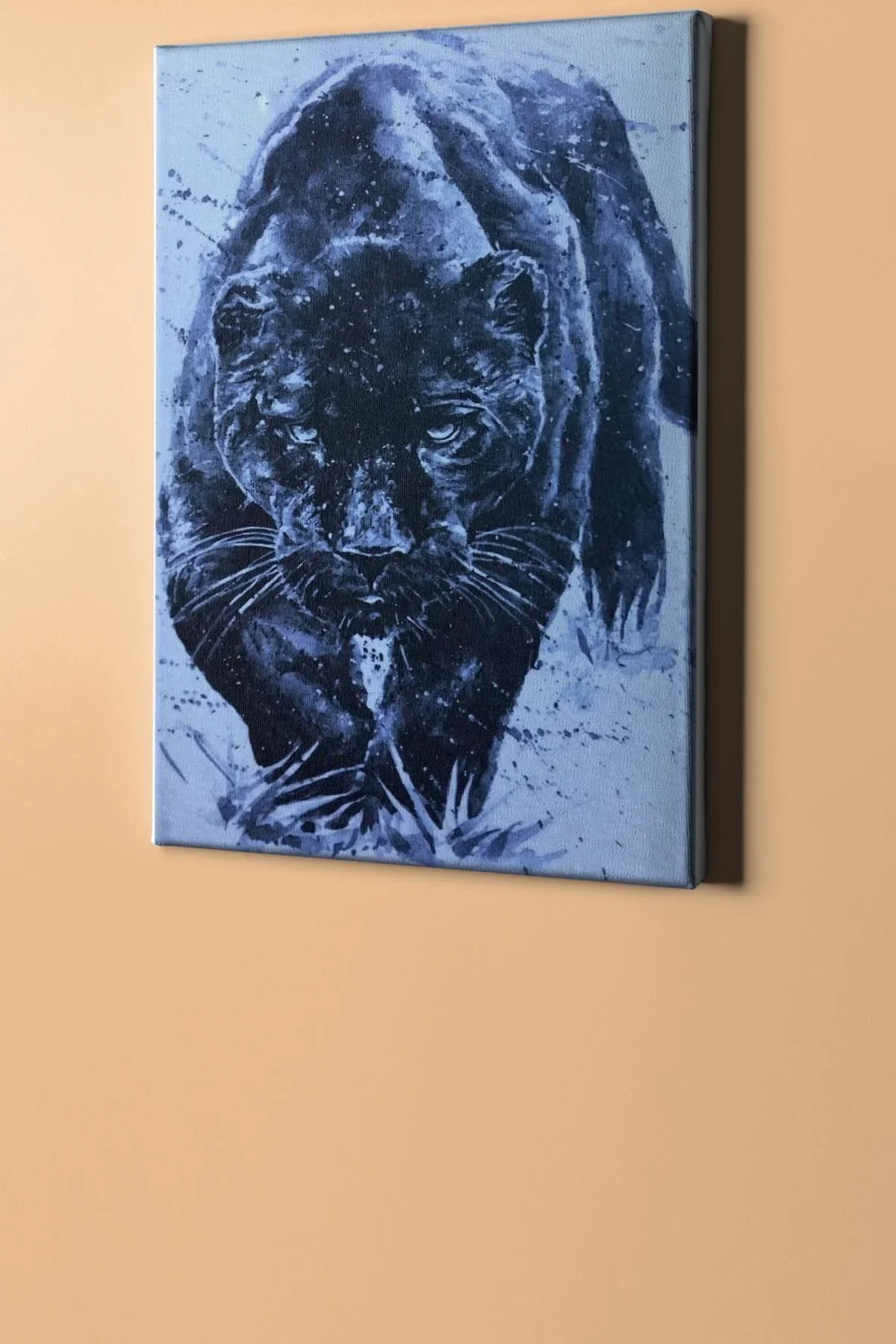 Sayılarla Boyama Seti Kasnaklı Panter