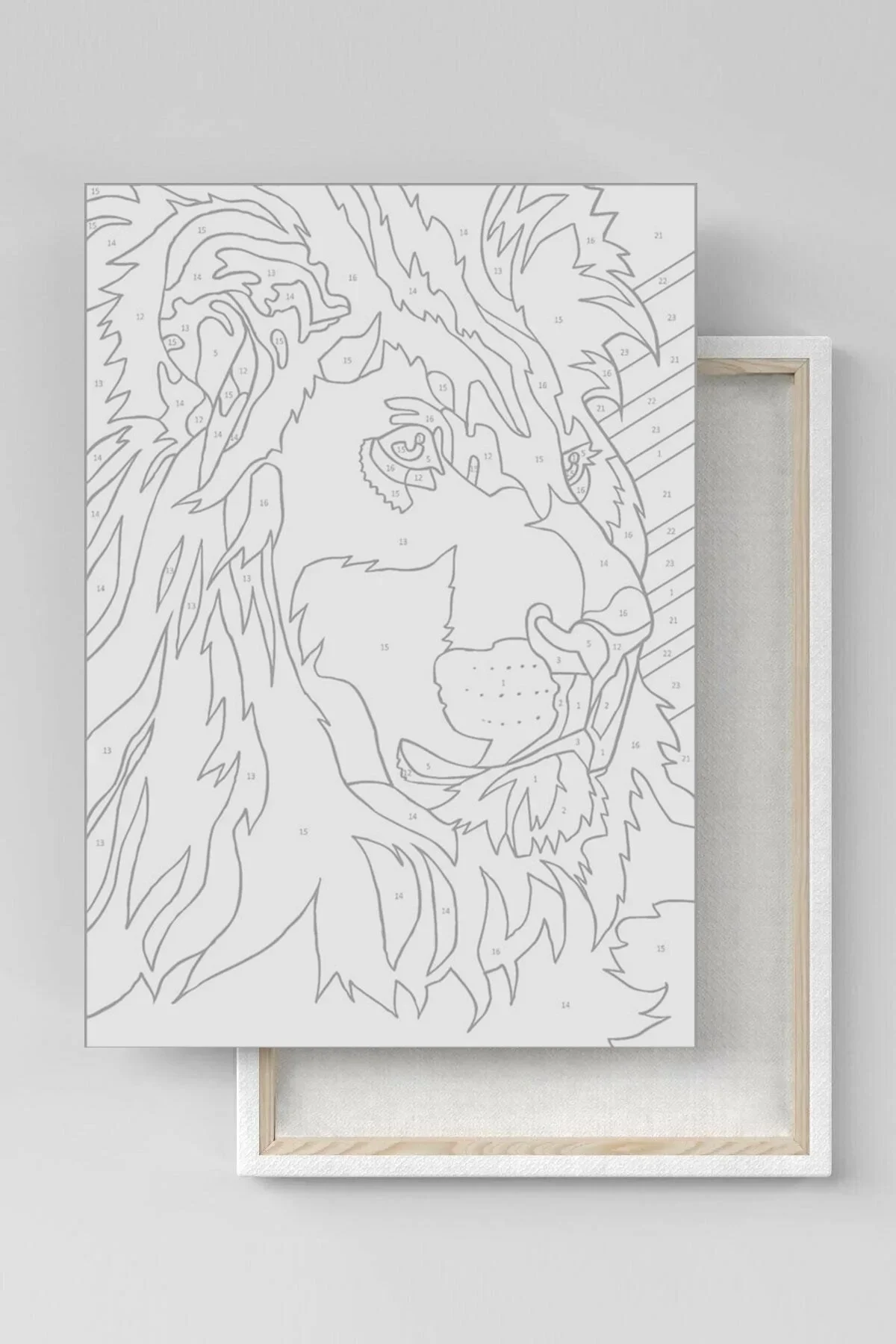 Sayılarla Boyama Seti Kasnaklı Meyve Ziyafeti