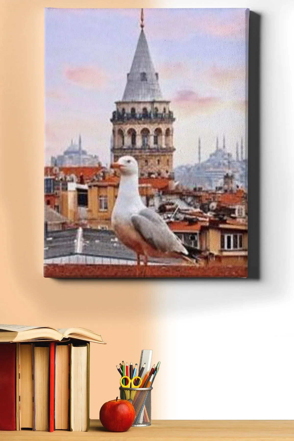 Sayılarla Boyama Seti Kasnaklı Galatada Martı